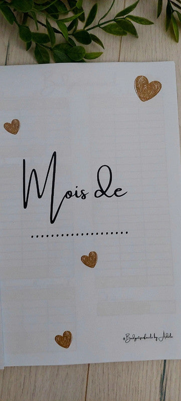 Kit de Démarrage Cœur Or - Budget Planner + Classeurs + Enveloppes