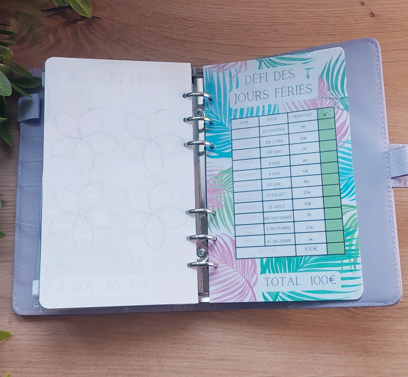 🌿 Classeur de Budget Complet "Douceur Tropicale" – Lilas Pastel (A6)