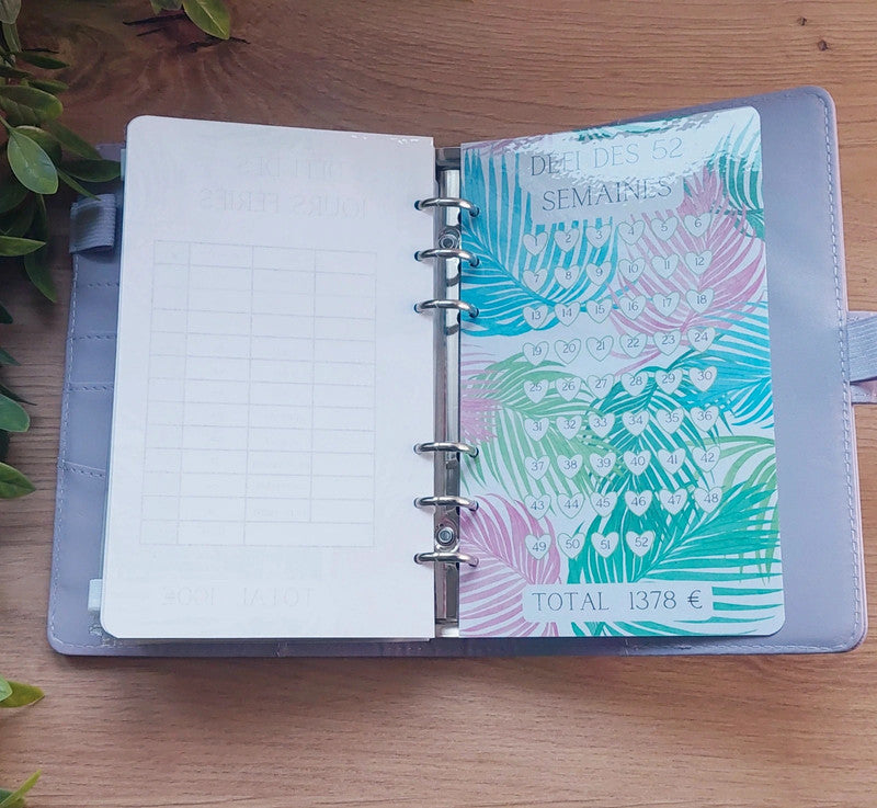 🌿 Classeur de Budget Complet "Douceur Tropicale" – Lilas Pastel (A6)