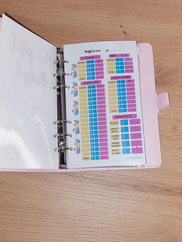 Classeur de Budget Complet "Diddle" Rose Pastel (A6)