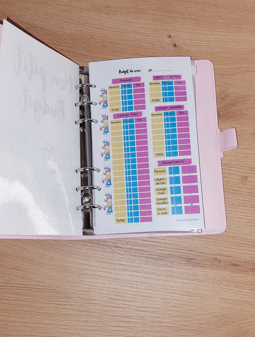 Classeur de Budget Complet "Diddle" Rose Pastel (A6)