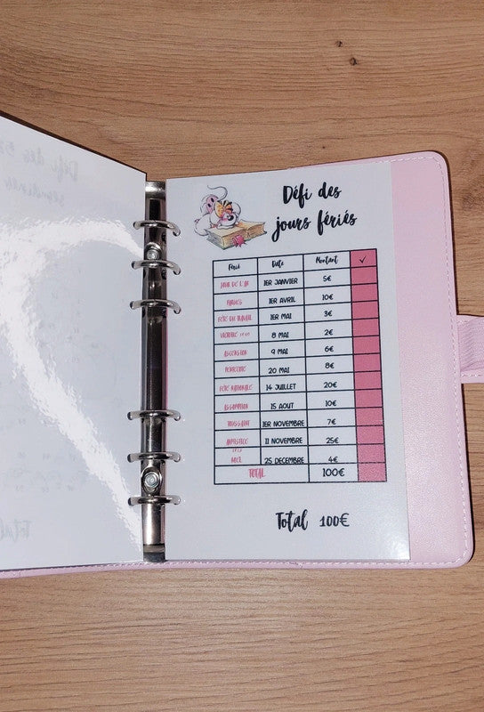 Classeur de Budget Complet "Diddle" Rose Pastel (A6)