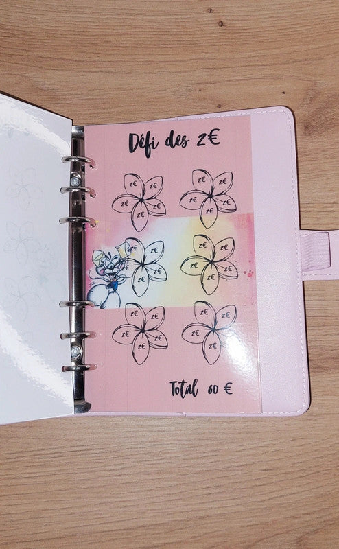 Classeur de Budget Complet "Diddle" Rose Pastel (A6)