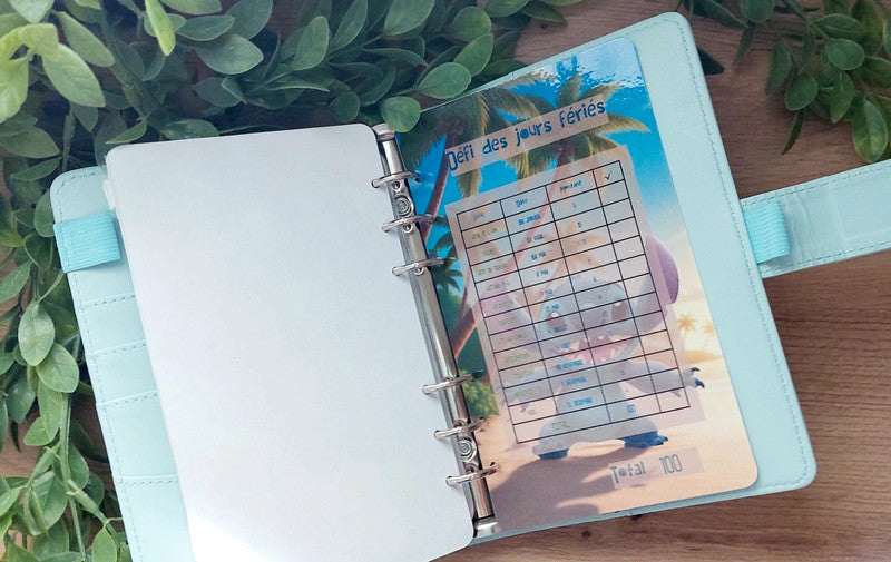 🌺 Classeur de Budget Complet "Lilo et Stitch Tropical" – Bleu Ciel (A6)