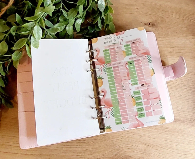 🦩 Classeur de Budget Complet "Pink Flamingo" – Rose Pastel (A6)
