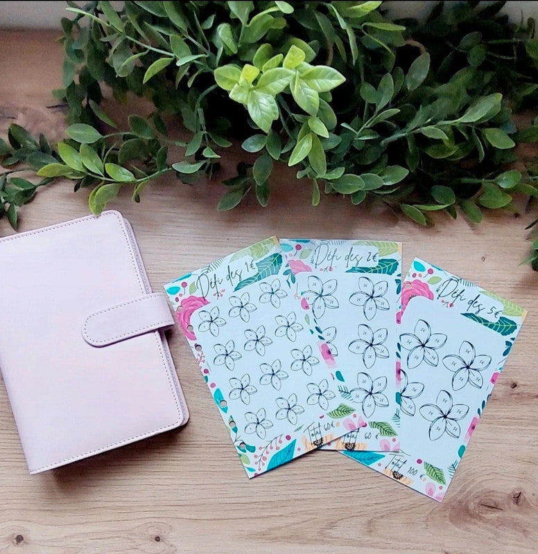🌸 Classeur de Budget Complet "Fleurs Vintage" – Vieux Rose (A6)