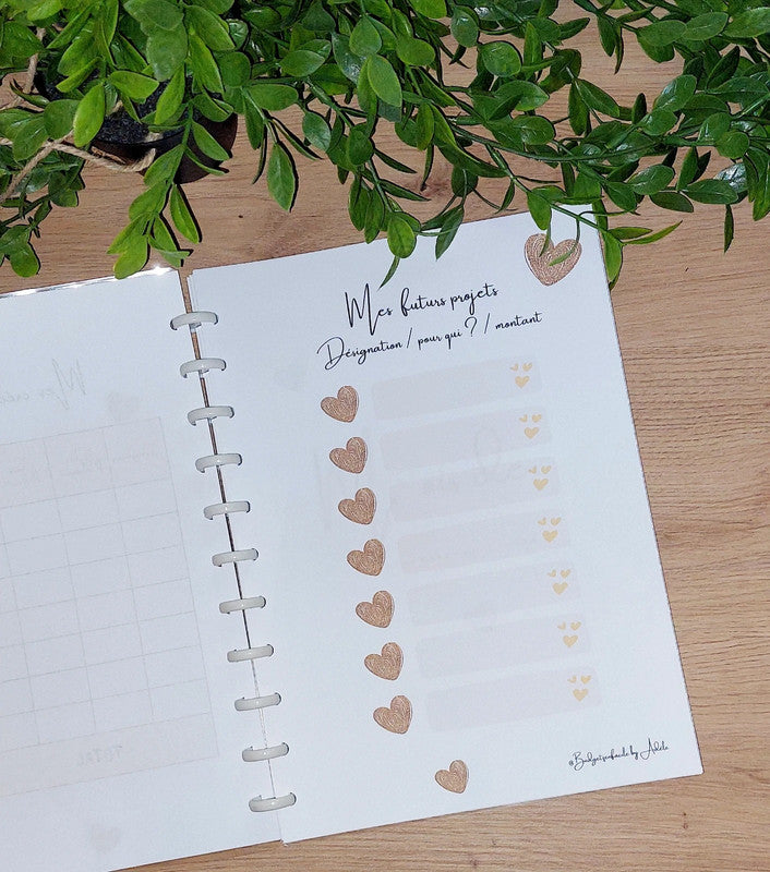✨ Budget Planner "Cœur Or" : Votre Allié Sérénité ✨