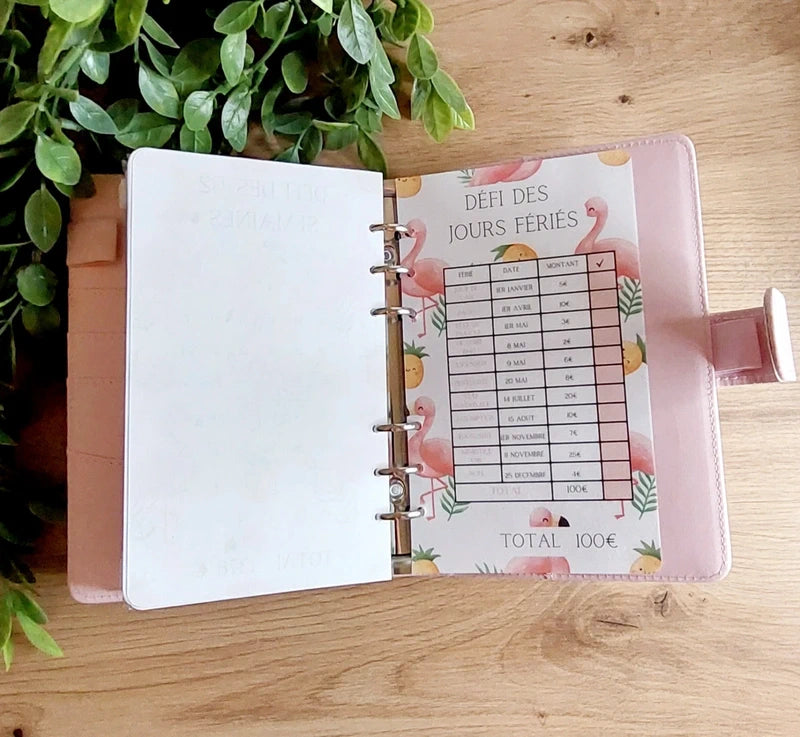 🦩 Classeur de Budget Complet "Pink Flamingo" – Rose Pastel (A6)