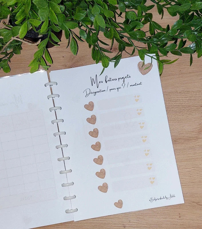 Kit de Démarrage Cœur Or - Budget Planner + Classeurs + Enveloppes