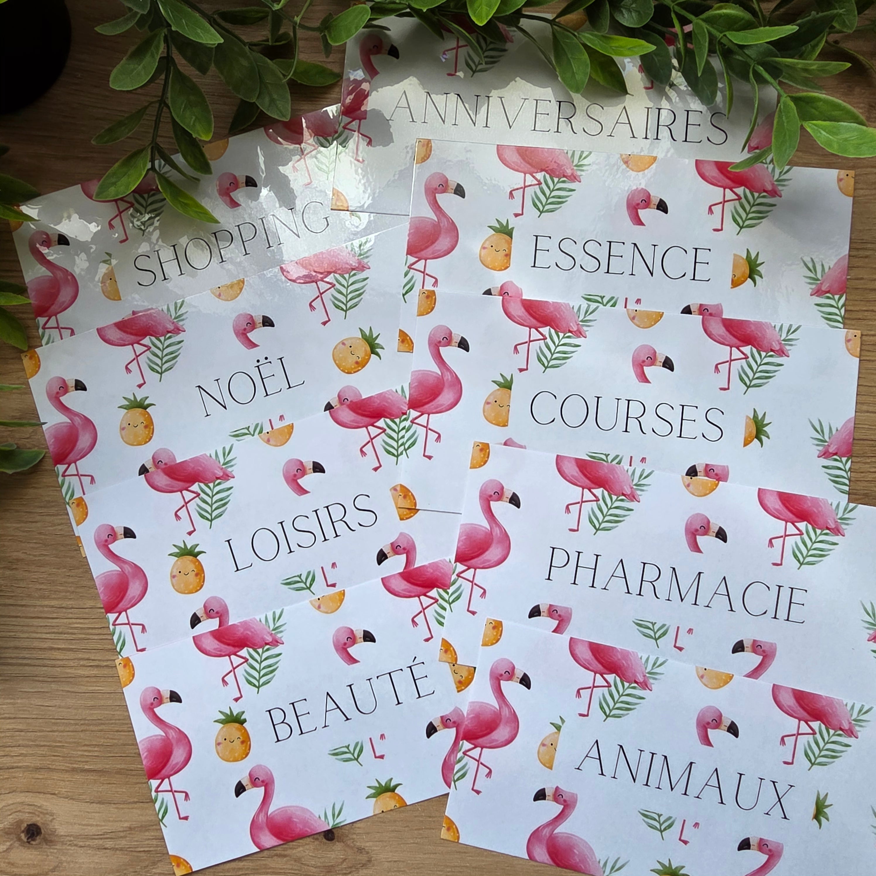 Kit budgétaire Flamand rose