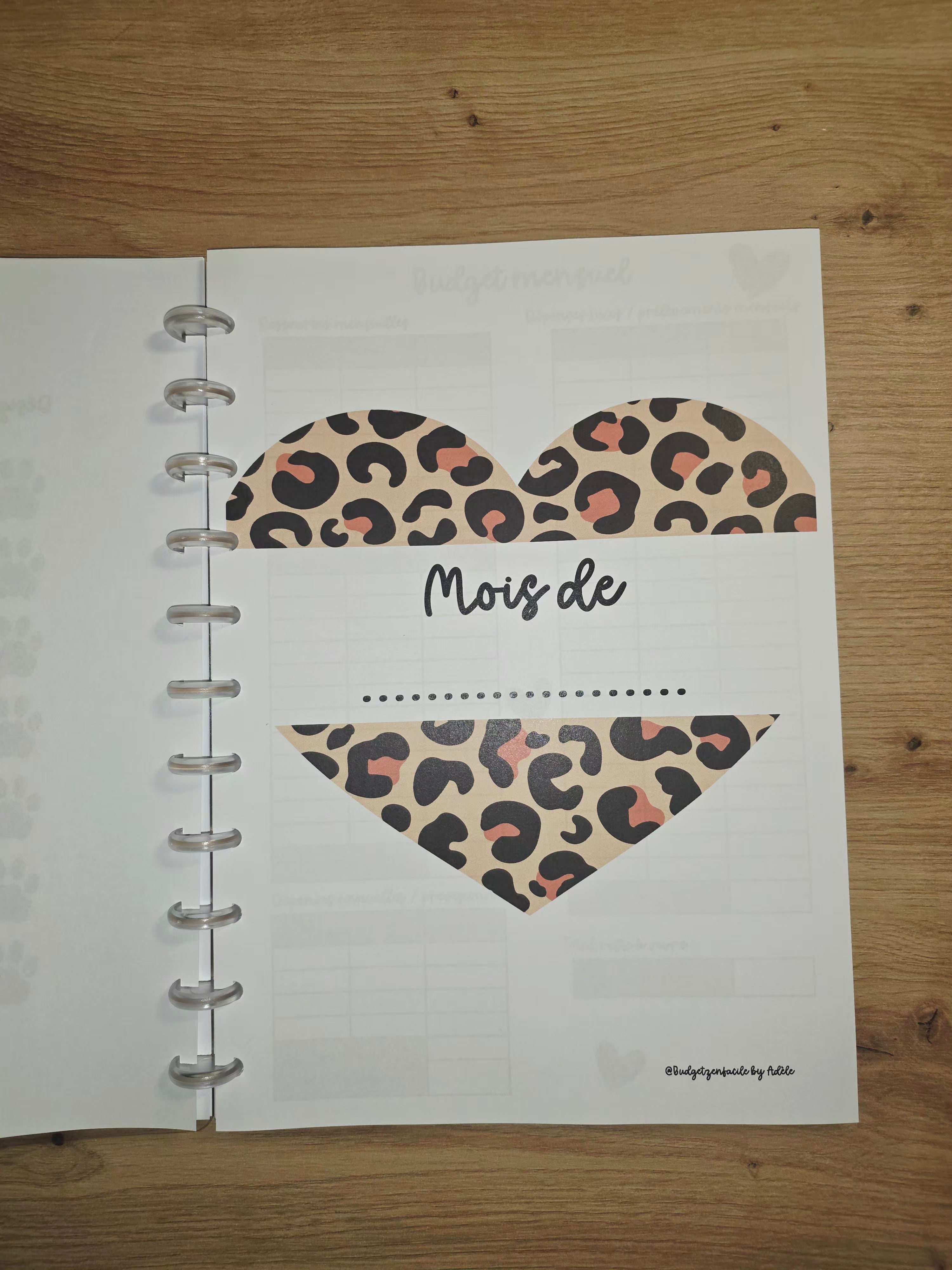 ✨ Budget Planner " Léopard" : Votre Allié Sérénité ✨