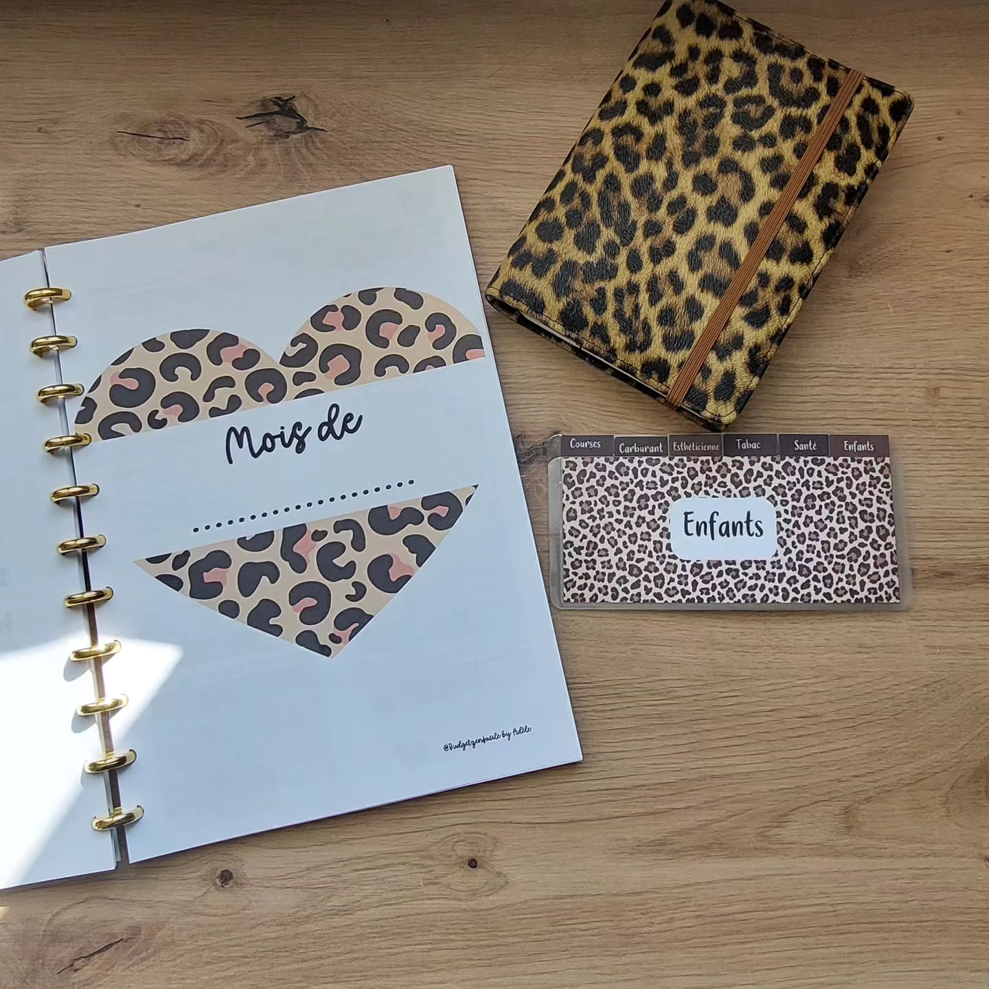 Kit de Démarrage Léopard - Budget Planner + Classeurs + Enveloppes