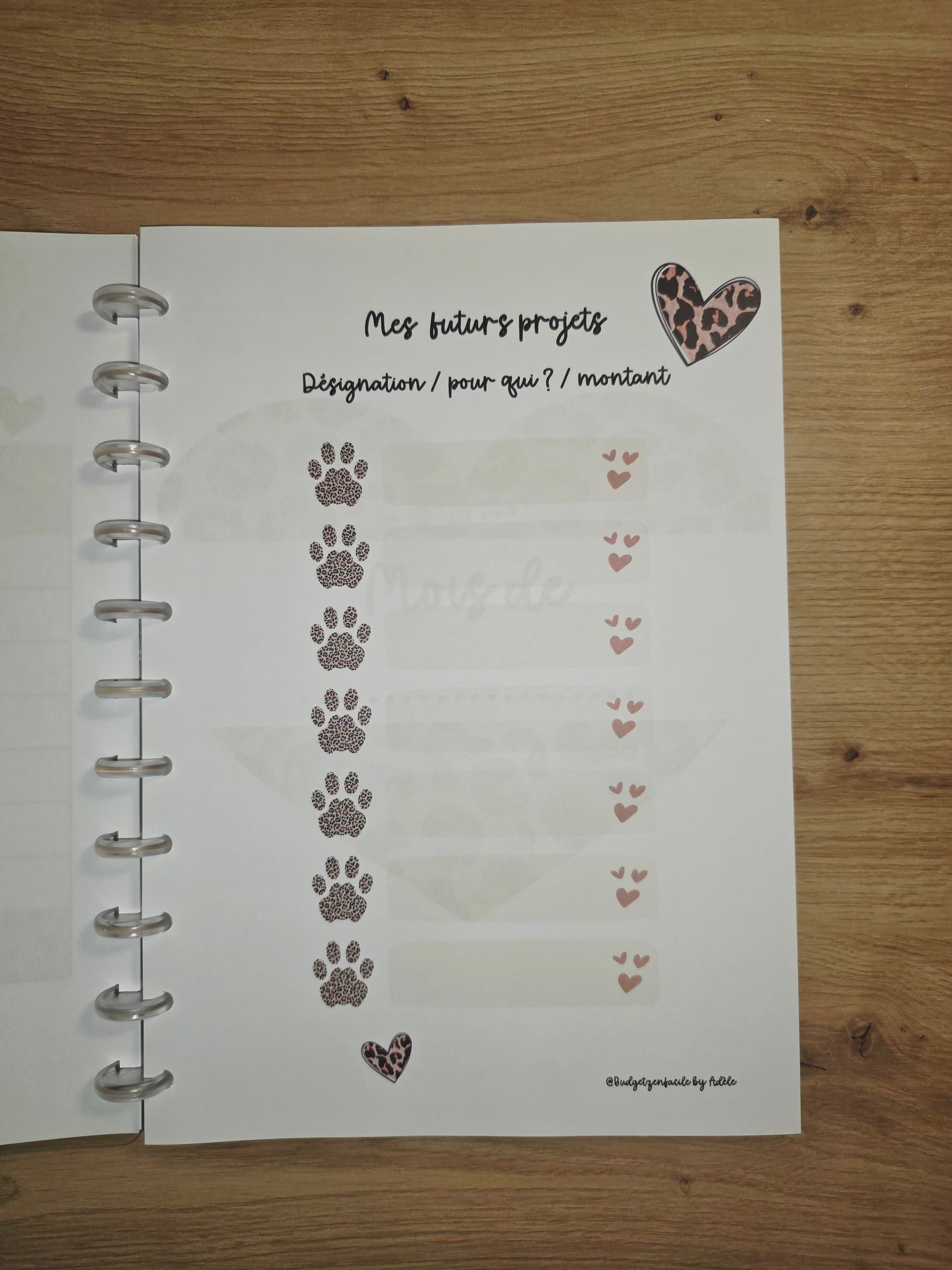 ✨ Budget Planner " Léopard" : Votre Allié Sérénité ✨