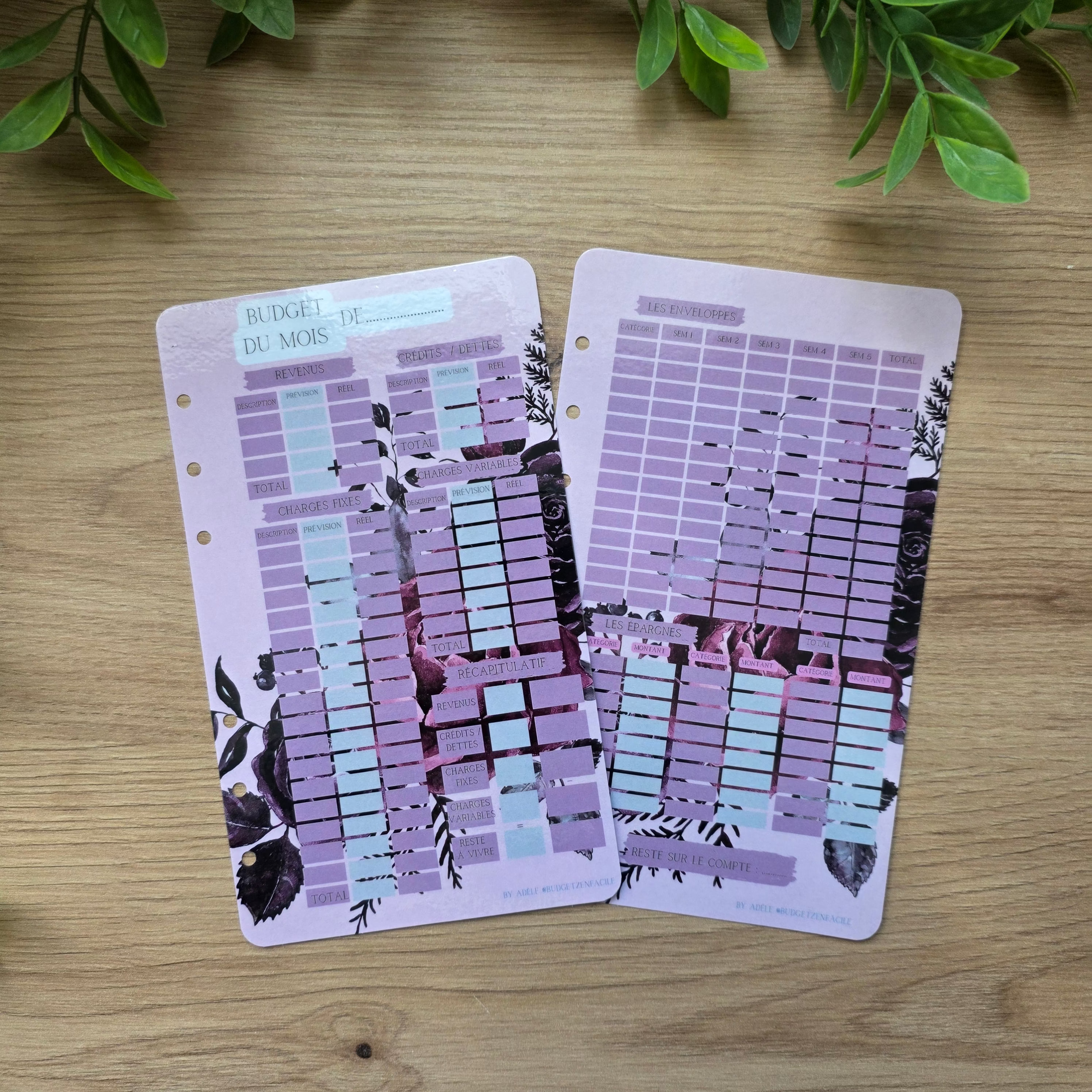 Kit budgétaire Rose noire A6