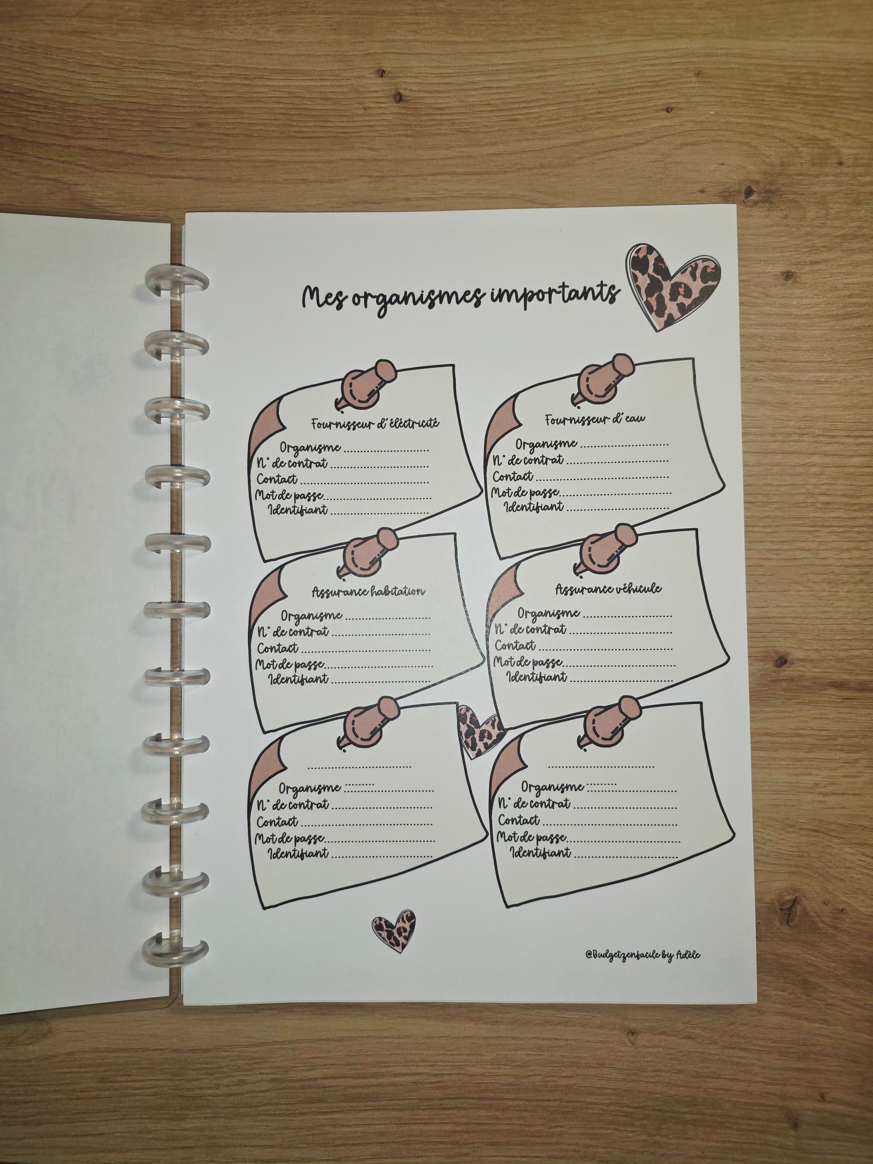 ✨ Budget Planner " Léopard" : Votre Allié Sérénité ✨