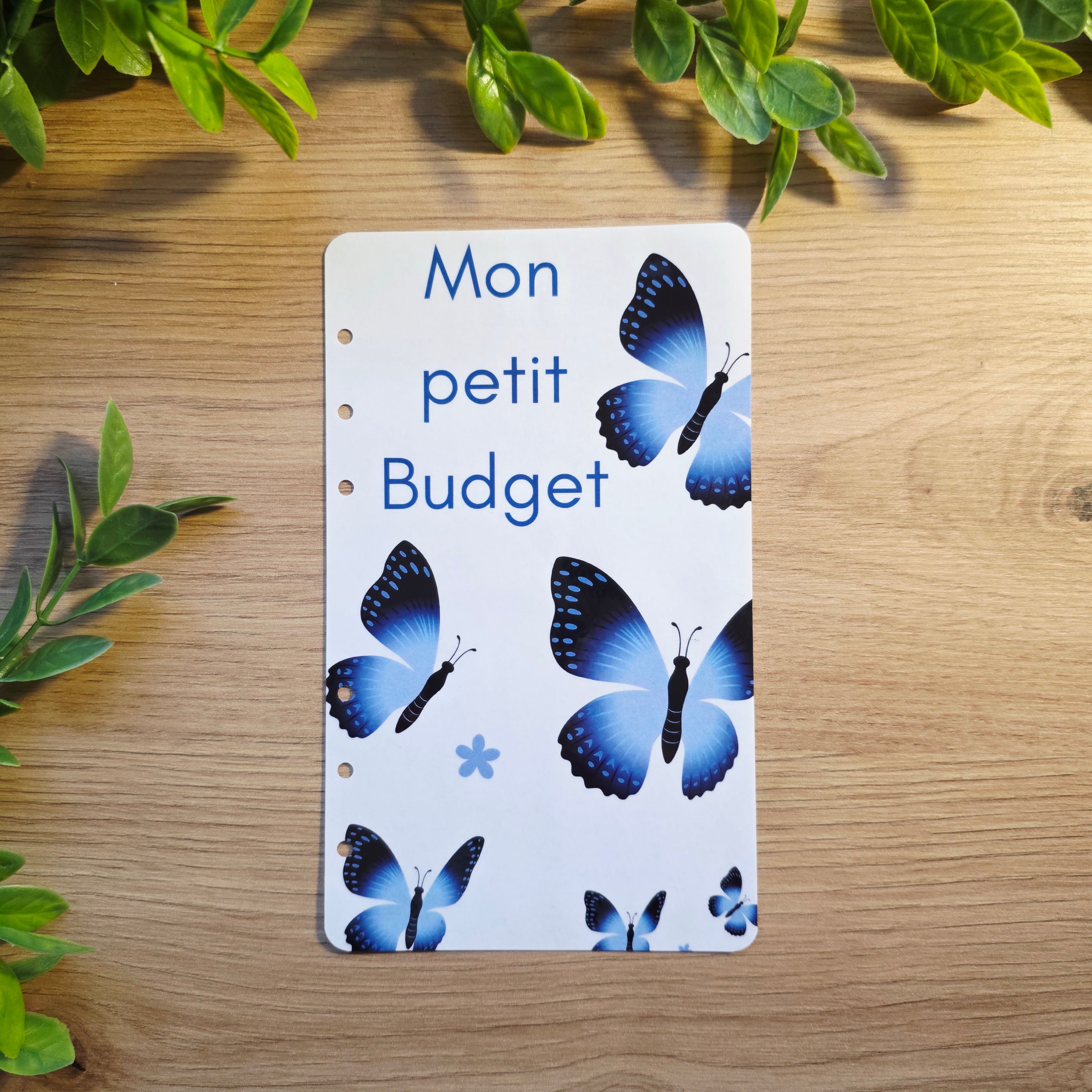 Kit budgétaire A6 - Papillons bleu