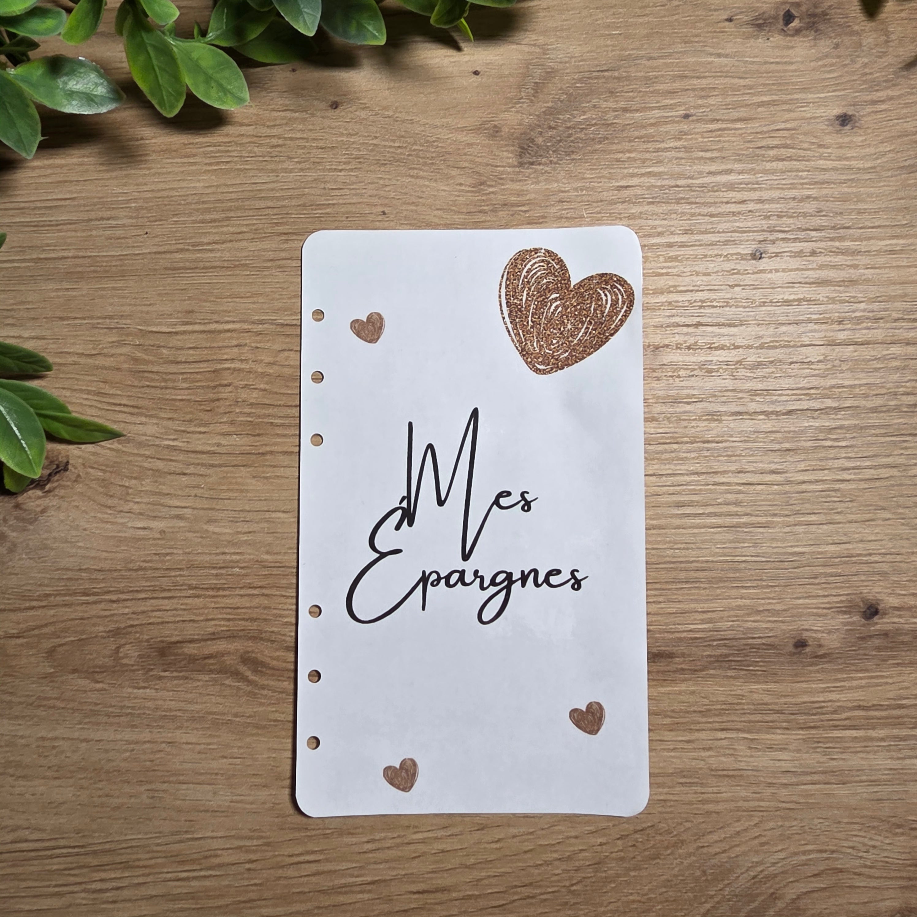 Fiche Épargne A6 Plastifiée et Perforée