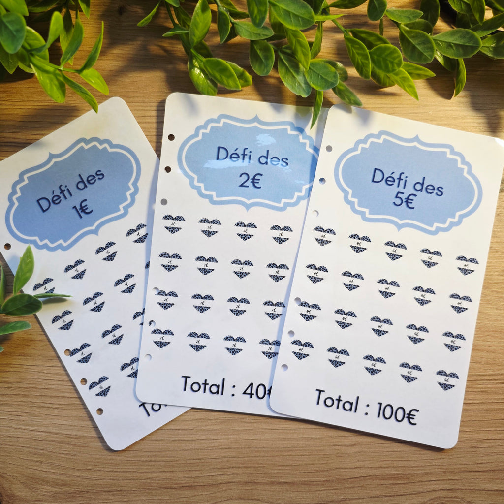 Kit budgétaire A6 - Papillons bleu