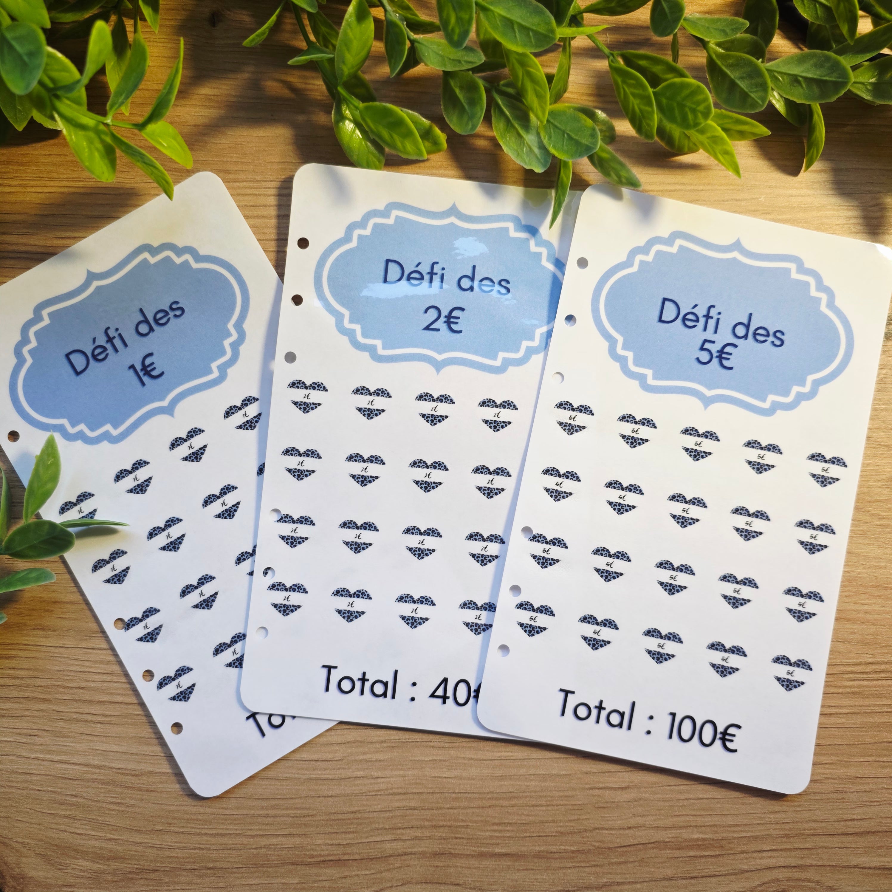 Kit budgétaire A6 - Papillons bleu