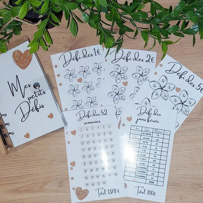 Kit Budget Zen – 2 Classeurs Transparents Cœur Or Format A6